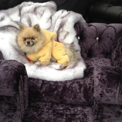 Scott's of London Balmoral Dog Chesterfield Ebony Crushed Velvet