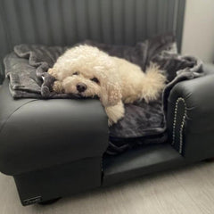 Scott's of London Balmoral Dog Chesterfield Grey Real Leather