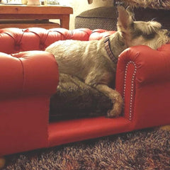Scott's of London Balmoral Dog Chesterfield Red Real Leather
