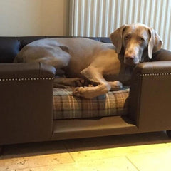 Scott's of London Sandringham Dog Chesterfield Brown Real Leather