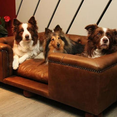 Scott's of London Sandringham Dog Chesterfield Real Italian Natural Tan Leather