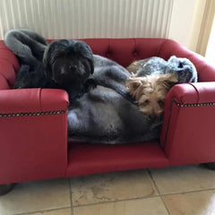 Scott's of London Sandringham Dog Chesterfield Red Real Leather