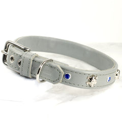 Ahoy There Skull and Crossbones Dog Collar by Petiquette