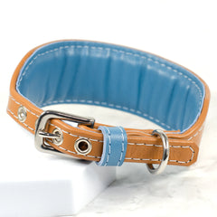 Soft Padded Italian Greyhound Collar by Petiquette