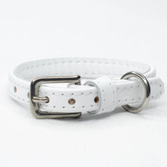 Leather Puppy Collar by Petiquette