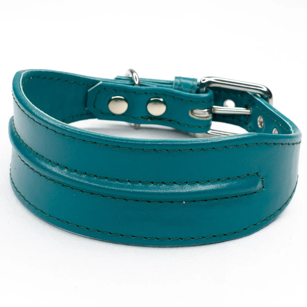 Line Dancer Stylish Collar for Lurchers by Petiquette