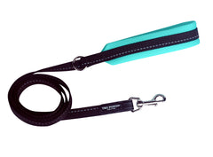 Tre Ponti Mint Mesh Dog Lead