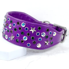 Starry Night Star Studded Greyhound Collar by Petiquette