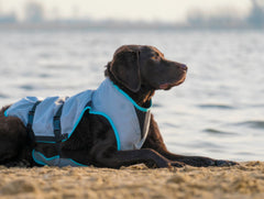 Suitical Dry Cooling Vest | Cooling Dog Coat
