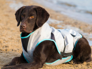 Suitical Dry Cooling Vest | Cooling Dog Coat