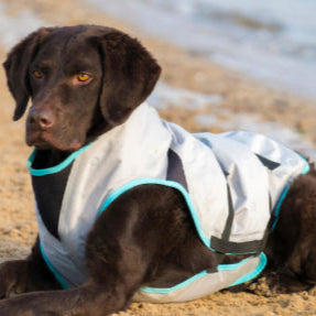 Suitical Dry Cooling Vest | Cooling Dog Coat