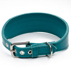 Line Dancer Stylish Collar for Lurchers by Petiquette