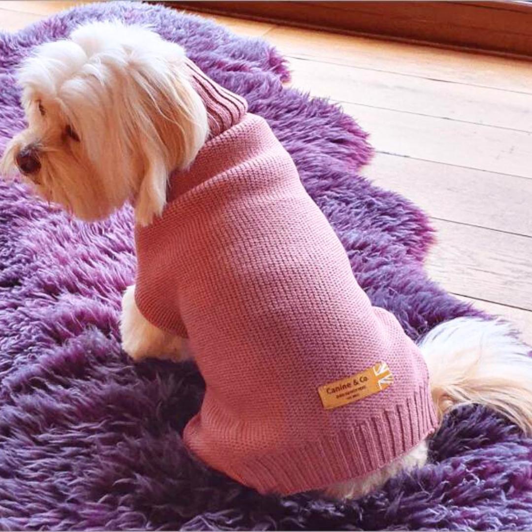 The Charlie Dusty Pink Italian Marino Wool Dog Jumper