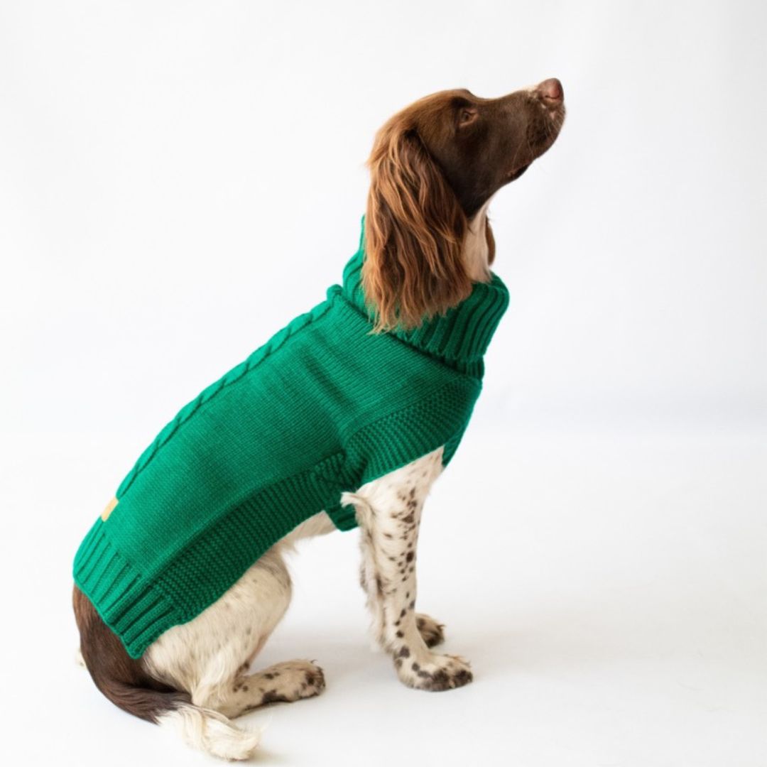 The Jazz Dog Jumper in Green