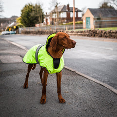 The Ultimate 2 in 1 Hi-Viz Waterproof Dog Coat by Danish Design | Dog Coats