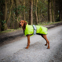 The Ultimate 2 in 1 Hi-Viz Waterproof Dog Coat by Danish Design | Dog Coats