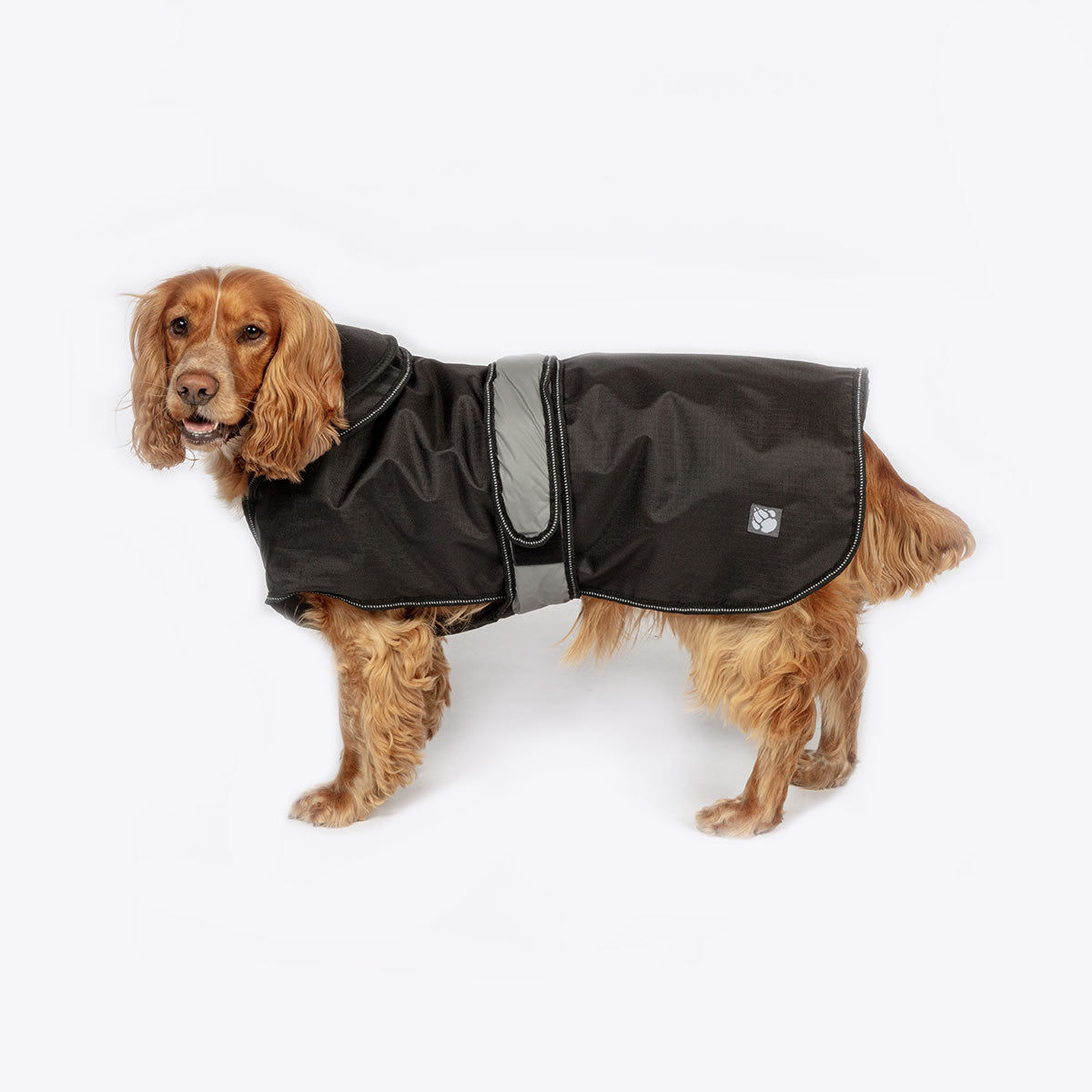 The Ultimate 2 in 1 Waterproof Dog Coat Black | Dog Coats