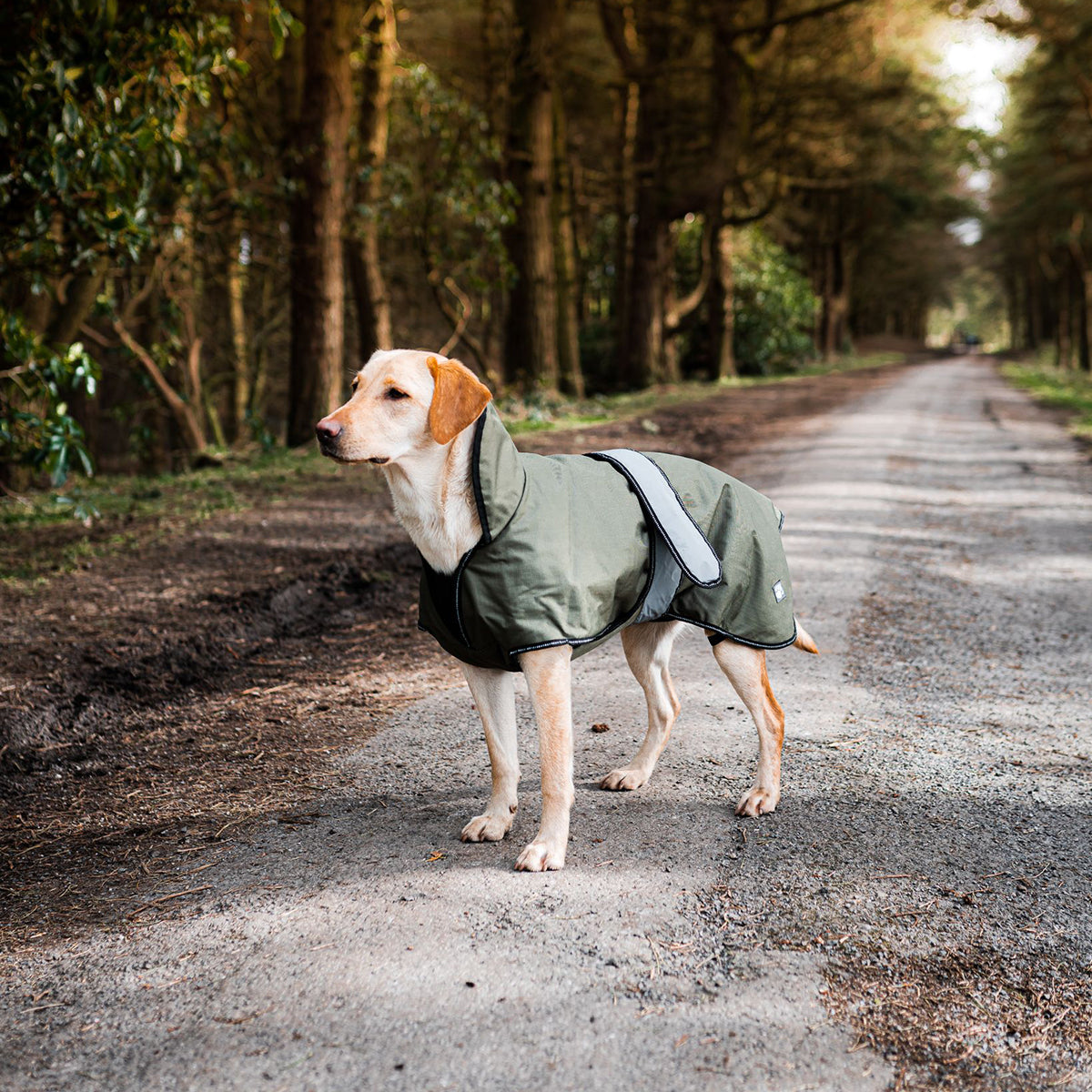 The Ultimate 2 in 1 Waterproof Dog Coat Khaki