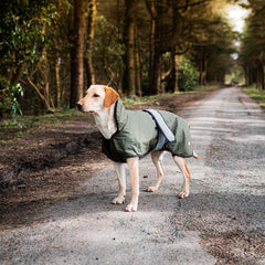 The Ultimate 2 in 1 Waterproof Dog Coat Khaki