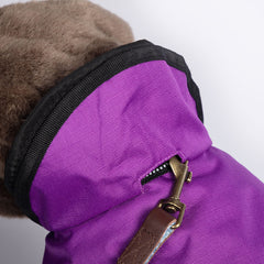 The Ultimate 2 in 1 Waterproof Dog Coat Purple And Red by Danish Design