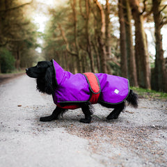 The Ultimate 2 in 1 Waterproof Dog Coat Purple And Red by Danish Design
