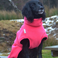 Ultimate Dog Drying Coat