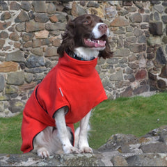Ultimate Dog Drying Coat