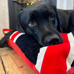 Creature Clothes Union Jack Dog Doza Bed