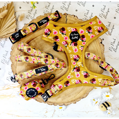 Vintage Yellow Buttercup Peonies Dog Harness