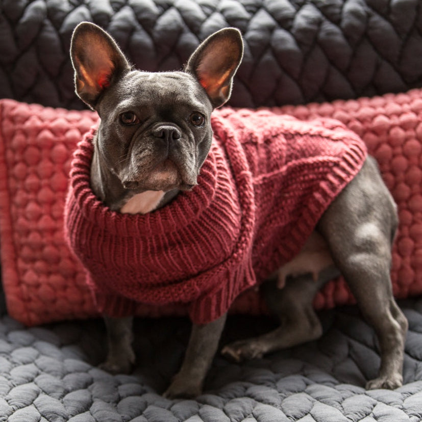 Wooldog Classic Hortensia Dog Jumper