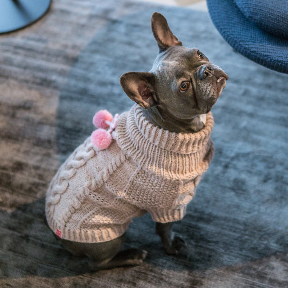 Wooldog Classic Milk Caramel Dog Jumper