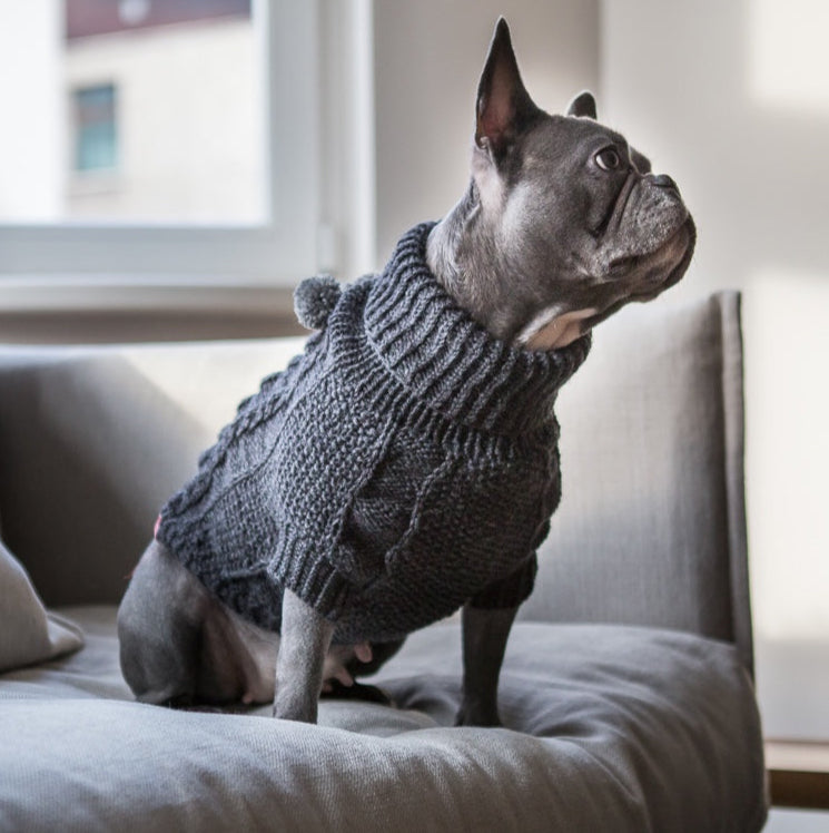 Wooldog Classic Dark Graphite Grey Dog Jumper