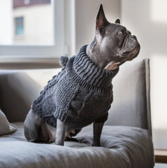 Wooldog Classic Dark Graphite Grey Dog Jumper