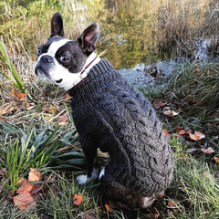 Wooldog Classic Dark Graphite Grey Hand-Knitted Dog Jumper