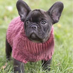 Wooldog Classic Hortensia Hand-Knitted Dog Jumper