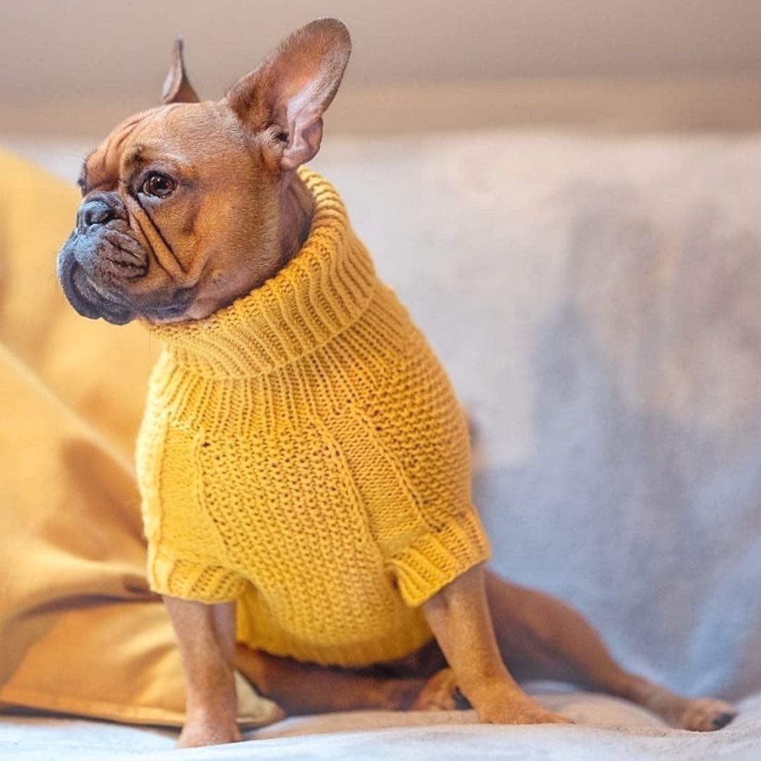 Wooldog Classic Sunflower Yellow Hand-Knitted Dog Jumper