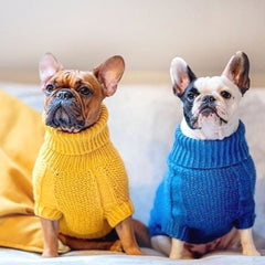 Wooldog Classic Sunflower Yellow Hand-Knitted Dog Jumper