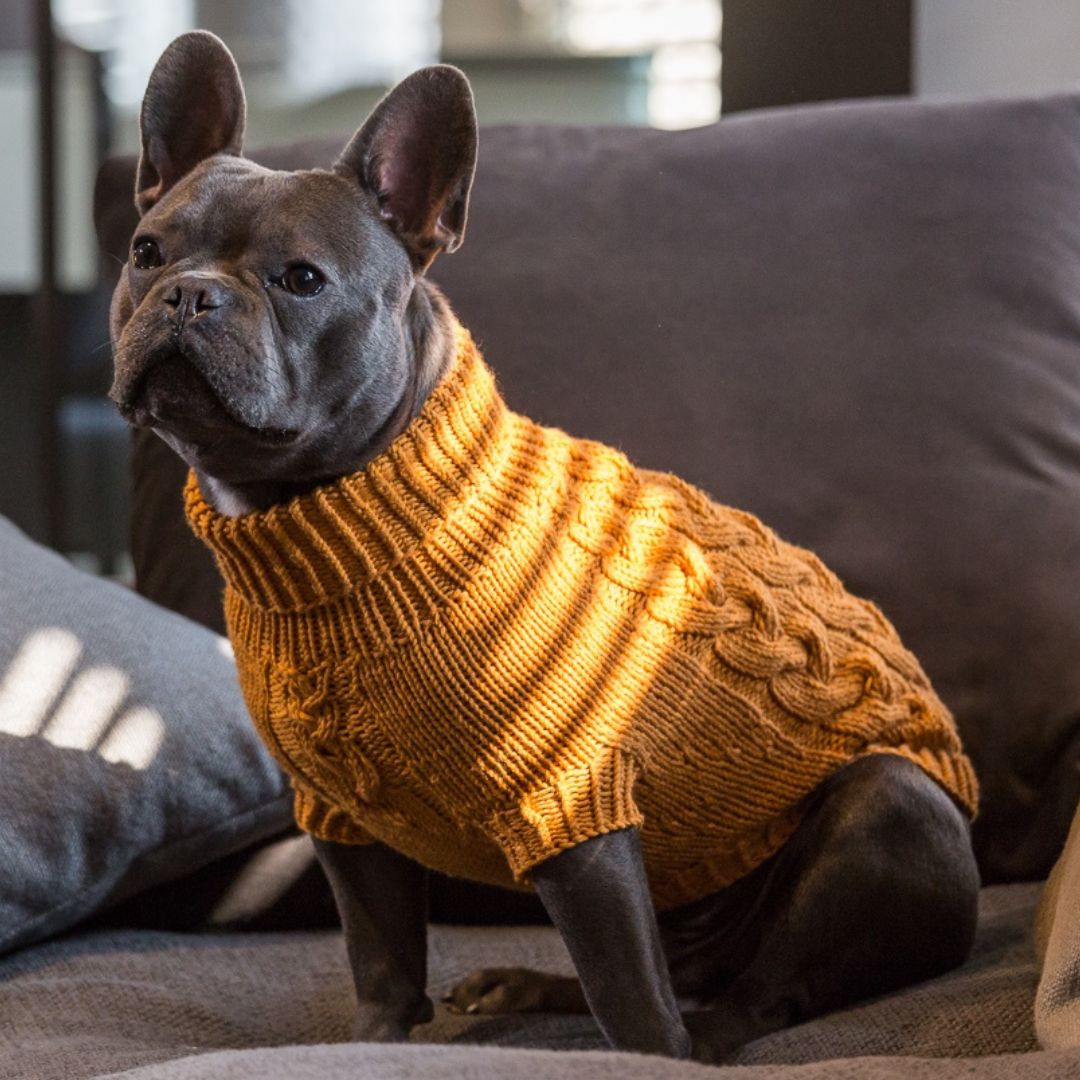 Wooldog Supreme 100% Merino Wool Tangerine Dream Dog Jumper