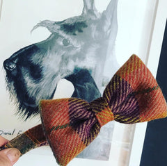 Ginger Harris Tweed Bow Tie Designer Dog Collar