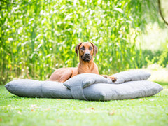 Luxury Orthopaedic Head Pillow