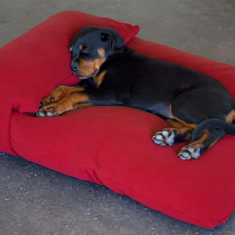 Luxury Orthopaedic Head Pillow