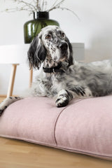 Finno Rose Pink Cushion Dog Bed by Labbvenn