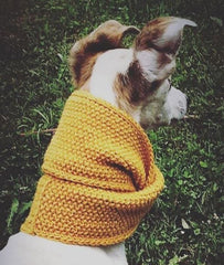 Wooldog Necky Sunflower Yellow Dog Neck Cowl