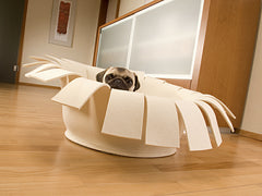 Luxury Orthopedic Memory Foam dog bed Pet Interiors Crown Felt