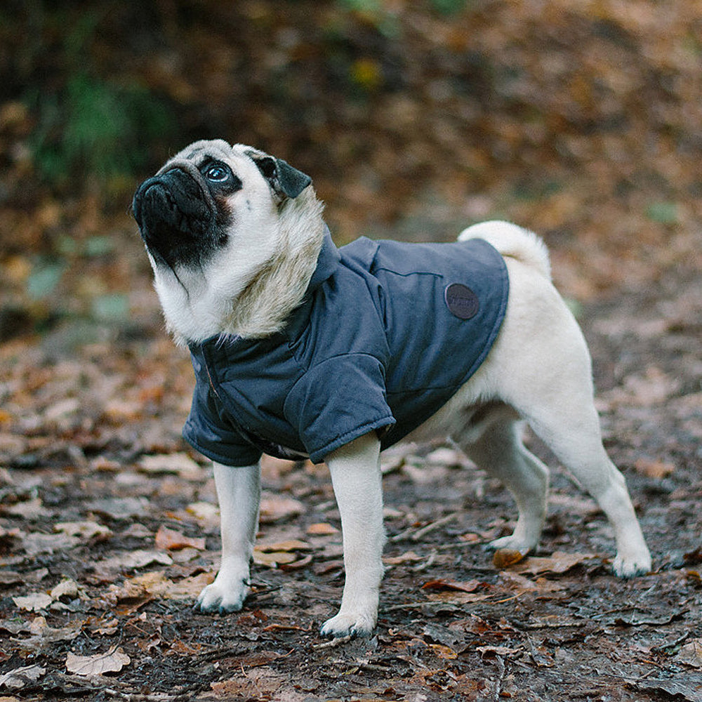 Navy Fur Trim Parka by Sotnos