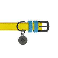 Yellow Colour Block Dog Collar