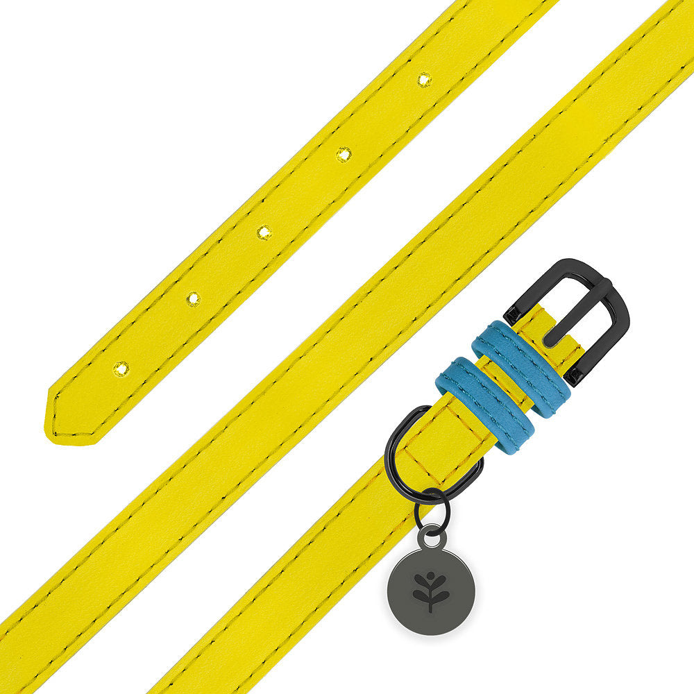 Yellow Colour Block Dog Collar