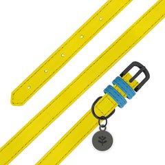 Yellow Colour Block Dog Collar
