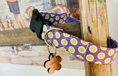 Lily Apple Spot Dog Collar and Lead Set
