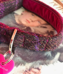 Blackcurrant Velvet Lined Harris Tweed Collar